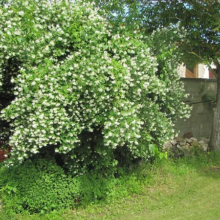 Lägenhet San Roko